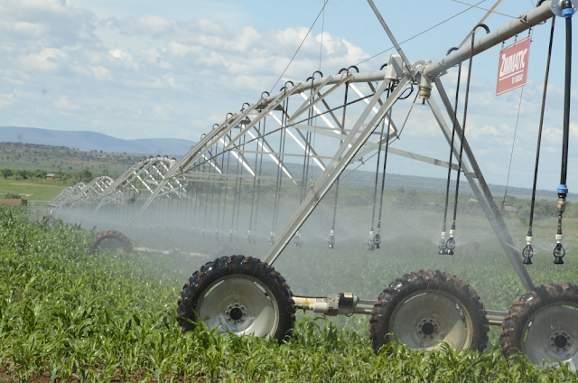 Ruanda apresenta estratégia de irrigação sem combustíveis fósseis na COP28